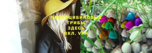 ALPHA-PVP Алексин