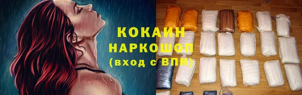 индика Алзамай