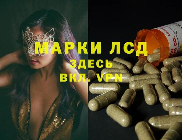 индика Алзамай