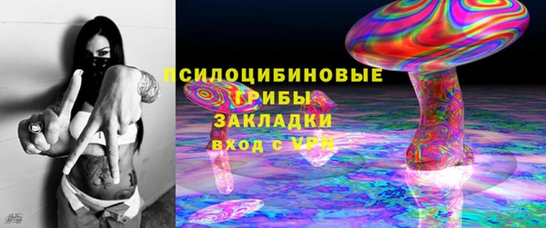 индика Алзамай