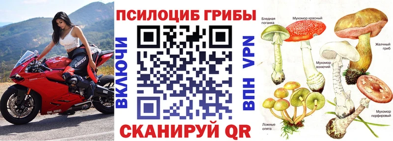 даркнет сайт  Сельцо  Галлюциногенные грибы ЛСД 