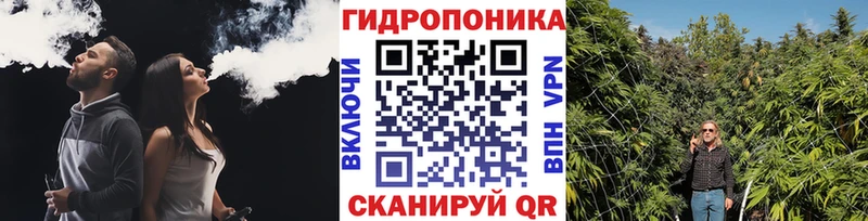 Бошки Шишки Amnesia Сельцо
